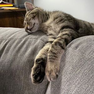 Meet your Posher, Joanne